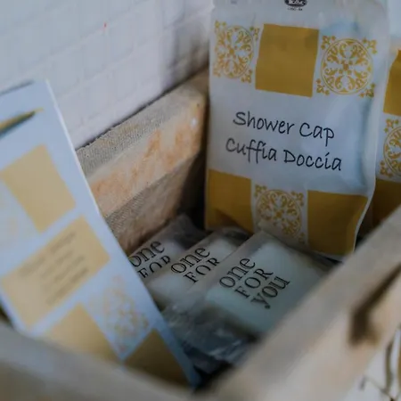 阿拉帕赛吉塔住宿加早餐旅馆 4*