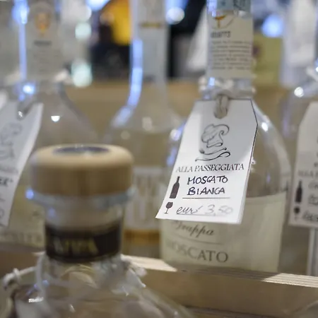 阿拉帕赛吉塔住宿加早餐旅馆 4*